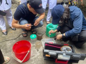 Thu thập muỗi trưởng thành bằng dụng cụ chuyên dụng.